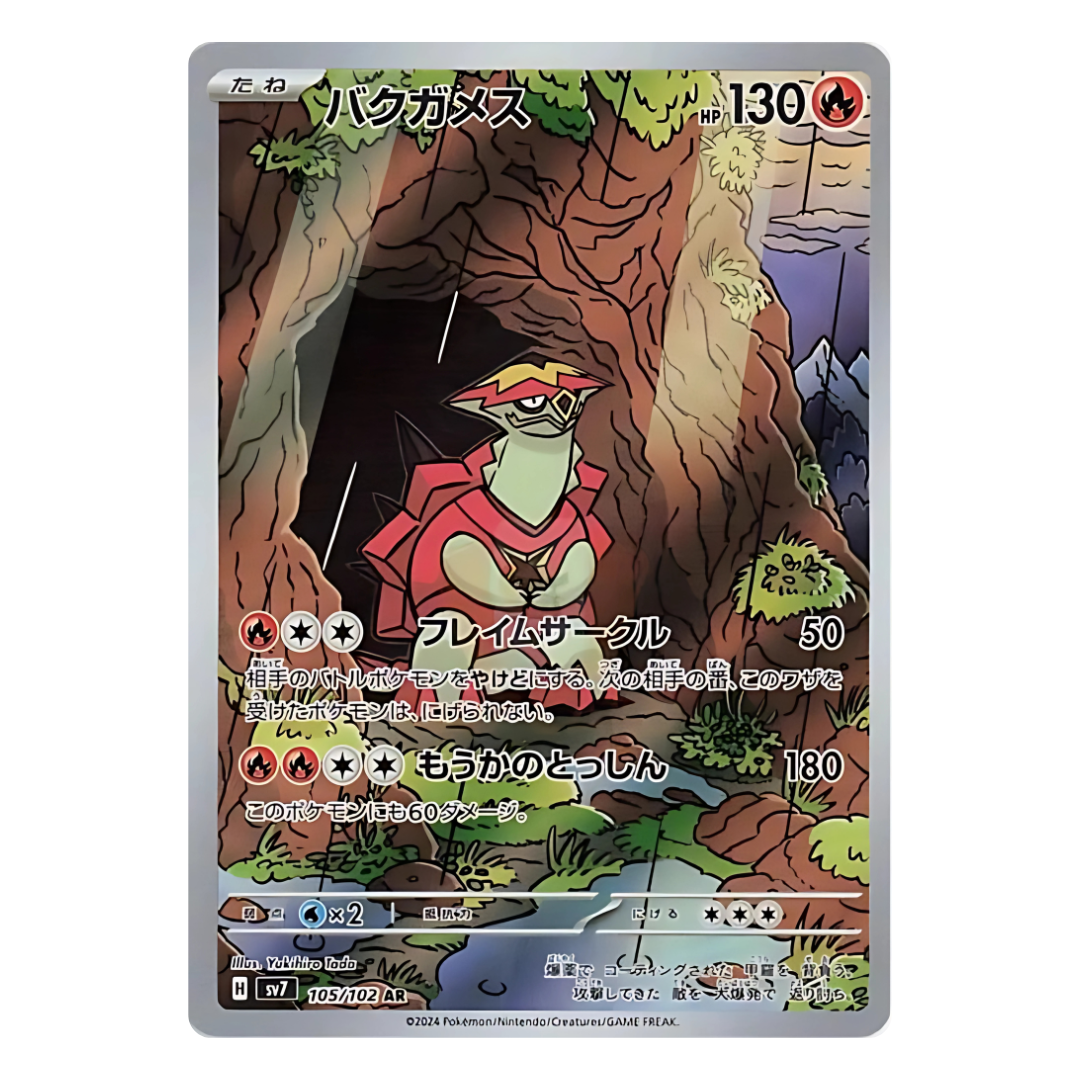 Pokémon Tortue Feu