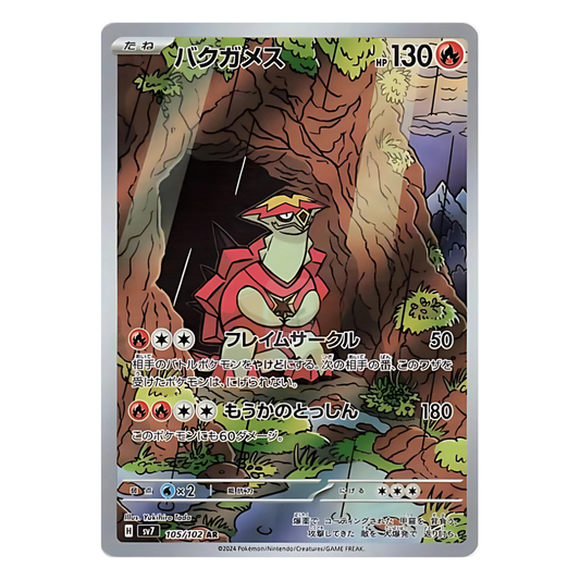 Pokémon Tortue Feu 